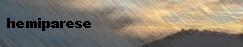 hemiparese